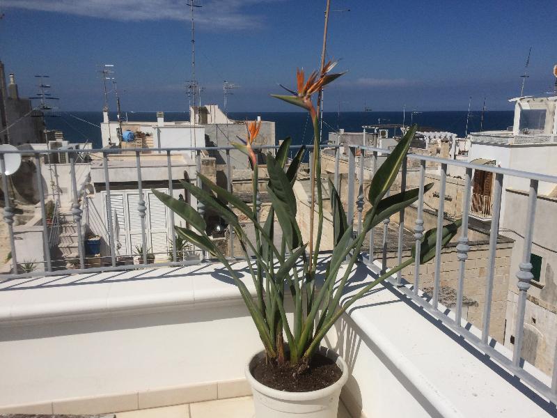 Respiro Del Mare Bed & Breakfast Polignano a Mare Dış mekan fotoğraf