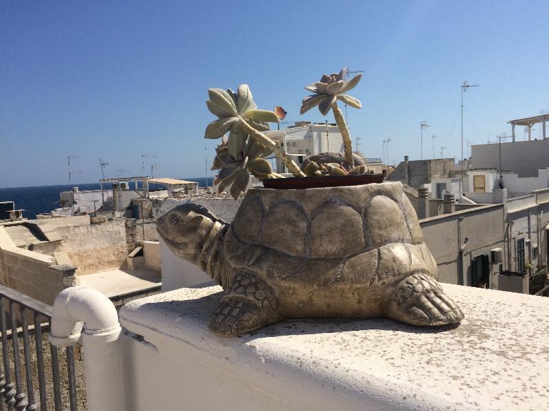 Respiro Del Mare Bed & Breakfast Polignano a Mare Dış mekan fotoğraf